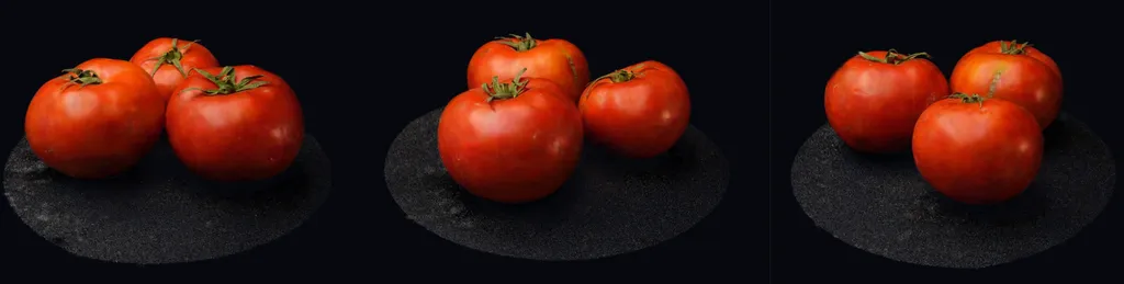 View-dependent specular highlights on a tomato Gaussian splat