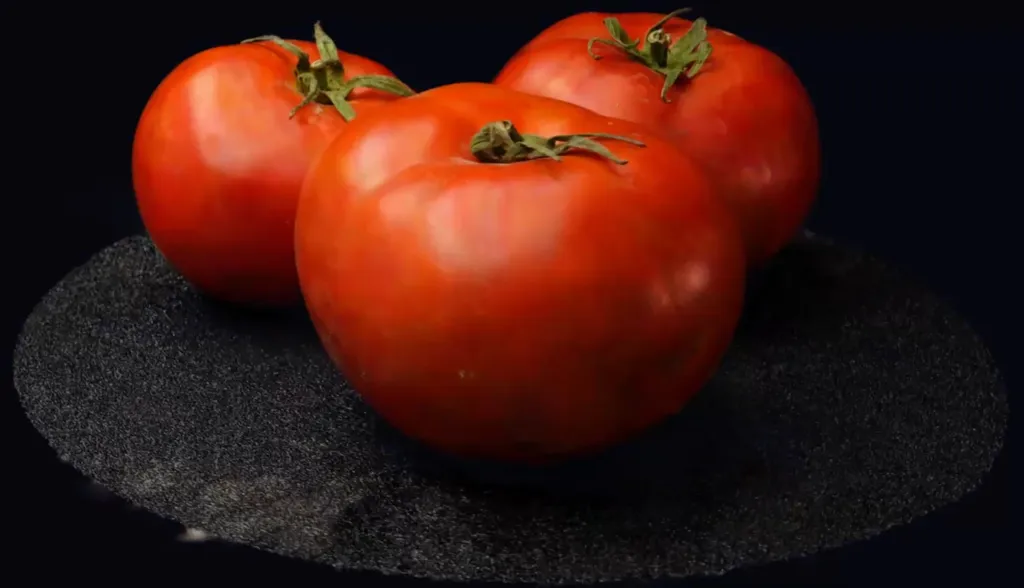 Tomatoes Gaussian Splat rendered in Three.js
